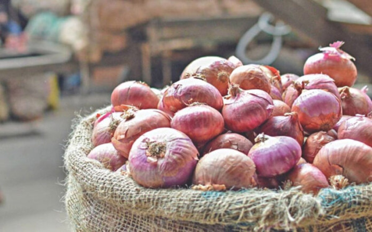 দাম কমলো পেঁয়াজের