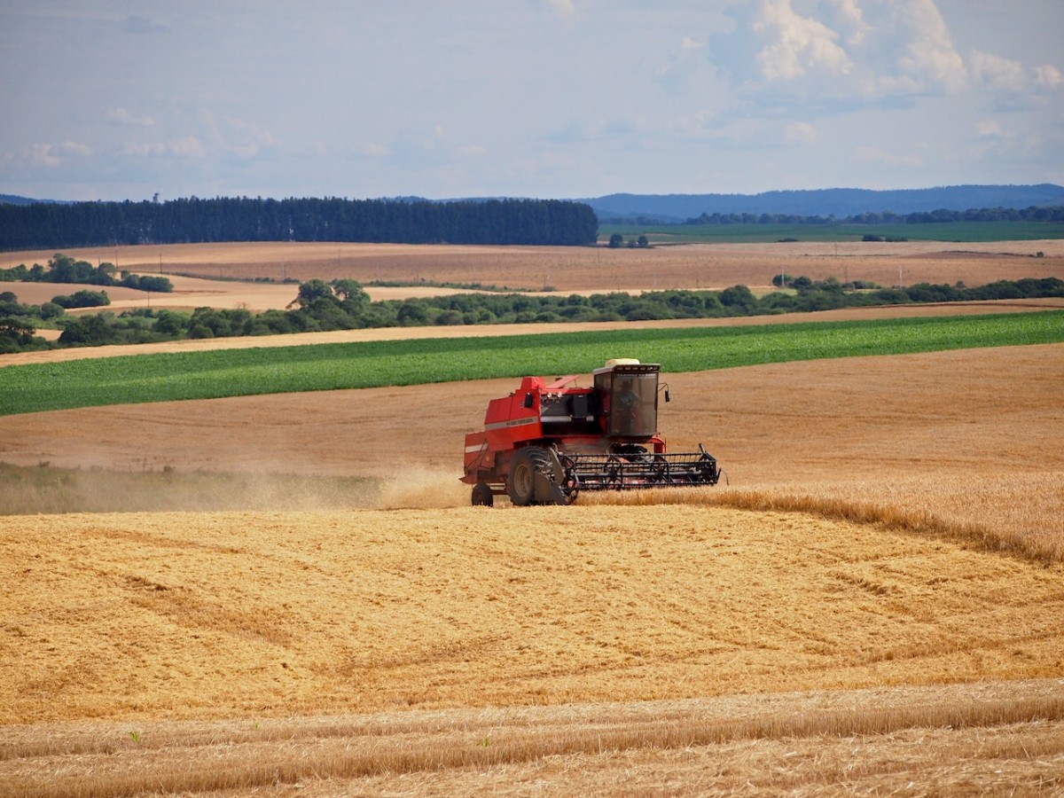 ইউক্রেনের শস্য রপ্তানি চুক্তির মেয়াদ বাড়াতে যে শর্ত দিল রাশিয়া