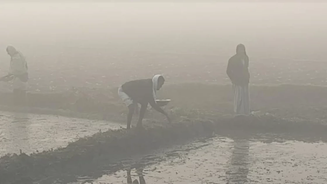 শৈত্যপ্রবাহ নিয়ে যা জানাল আবহাওয়া অধিদপ্তর