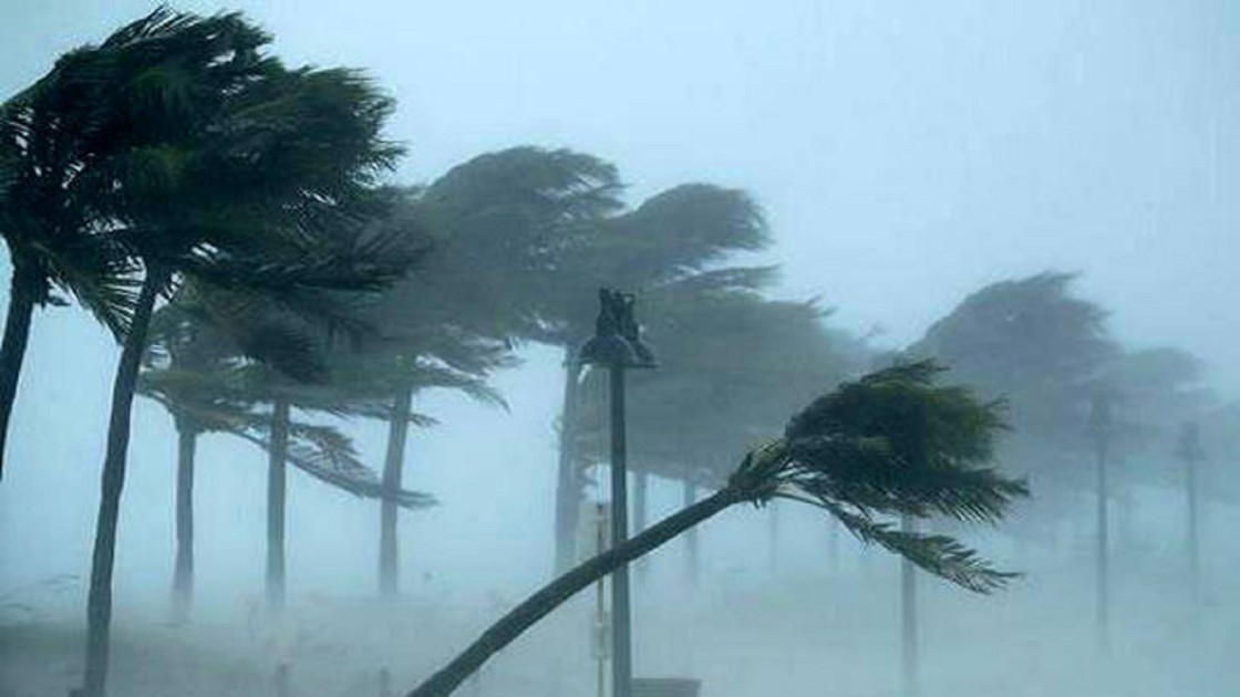 ঢাকায় স্বস্তির বৃষ্টি,দুপুরের মধ্যে ঢাকাসহ কয়েক জেলায় ঝড়ের আভাস