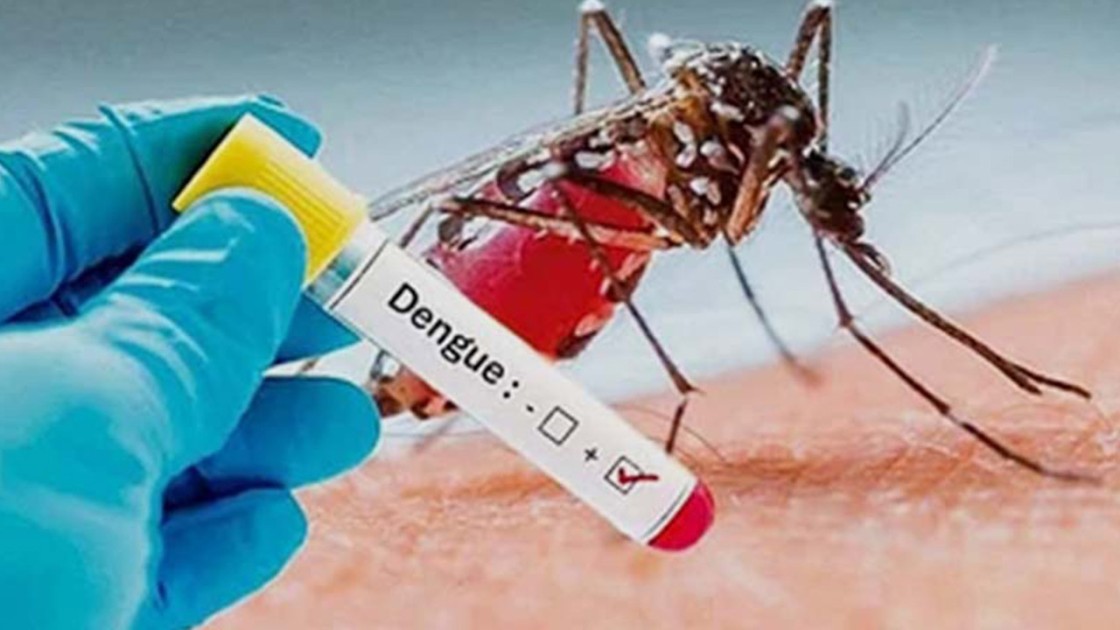 বাড়ছে ডেঙ্গু প্রকোপঃ গত ২৪ ঘণ্টায় ৬ জনের মৃত্যু, হাসপাতালে ভর্তি ৯২৬